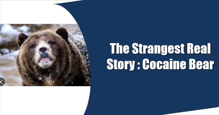 real story of cocaine bear