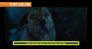 Arthur the King Movie: The True Story of a Dog